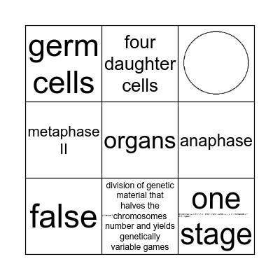 Meiosis Bingo Card