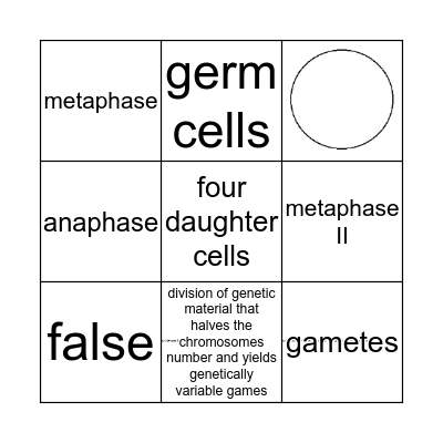 Meiosis Bingo Card