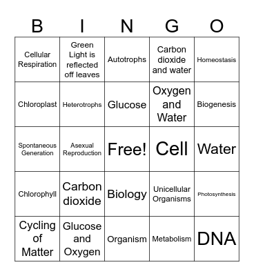 Characteristics of Life Bingo Card