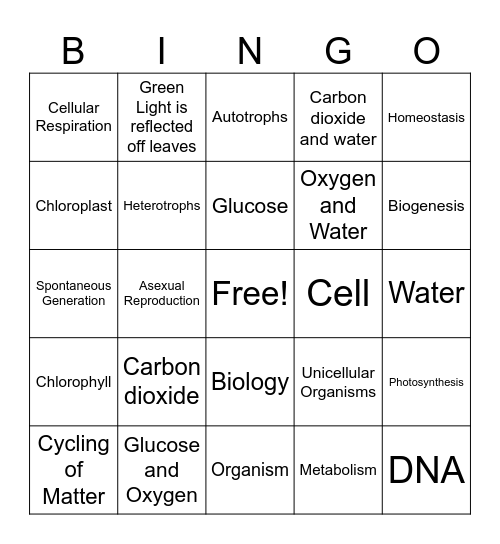 Characteristics of Life Bingo Card