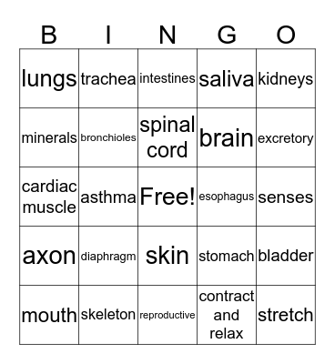 Chapter 8 Science Bingo Card