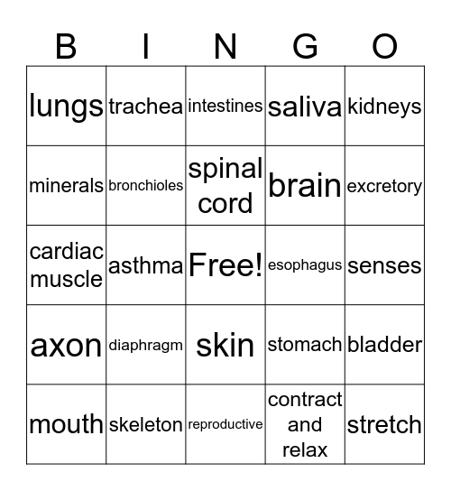Chapter 8 Science Bingo Card
