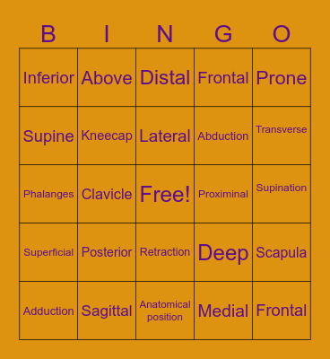 Medical Anatomy bingo Card