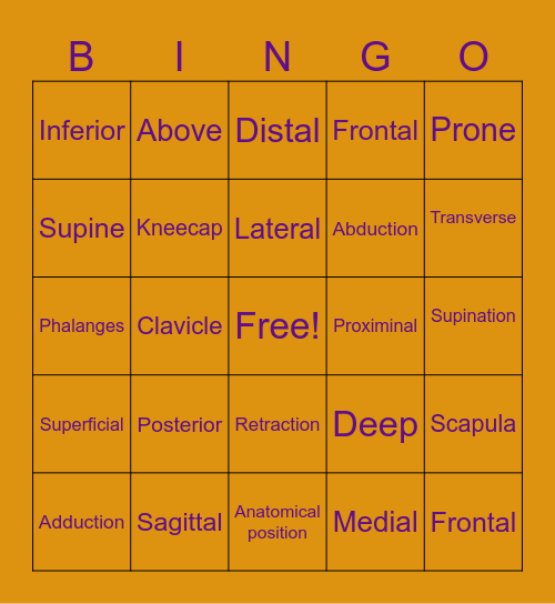 Medical Anatomy bingo Card