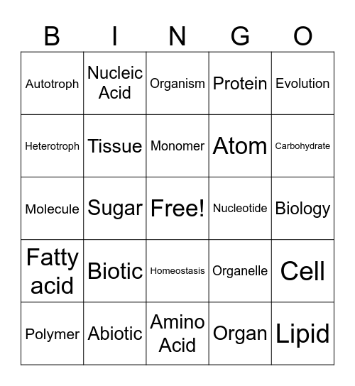 Unit 1 Test Bingo Card