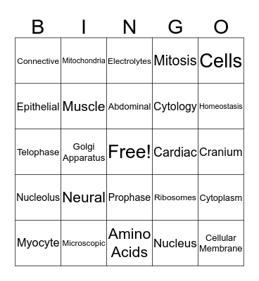 The Cell&Body Structure and Organization Bingo Card