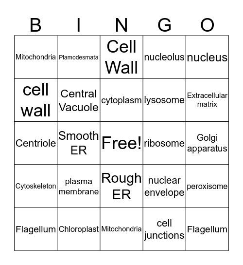 Cell and Organelle Bingo Card