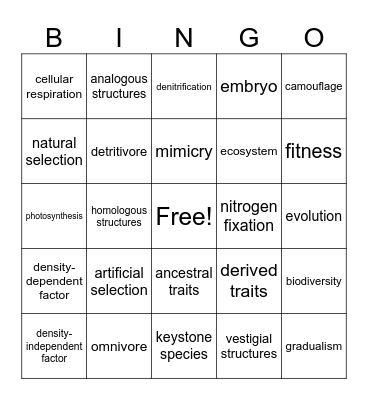 Evolution Bingo Card