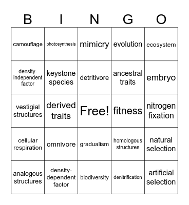 Evolution Bingo Card