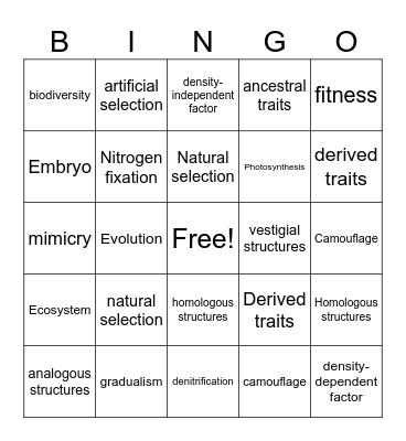 Evolution Bingo Card