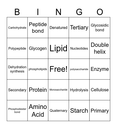 Biological Macromolecules Bingo Card