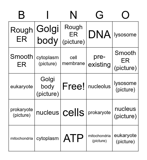 Cell Organelle Review Bingo Card