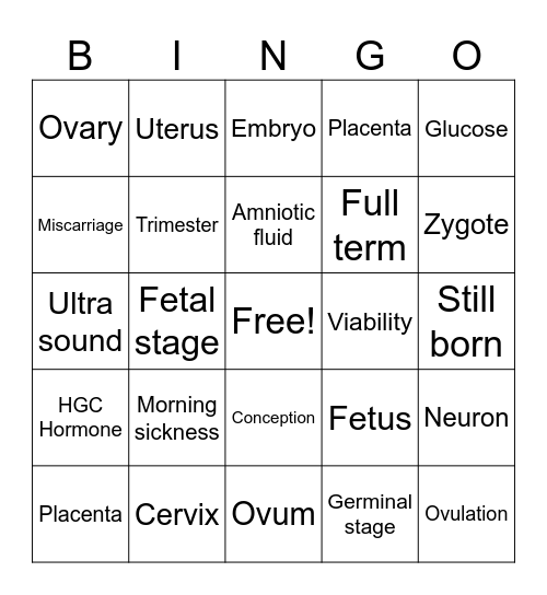 Vocab 2.0 Bingo! Bingo Card