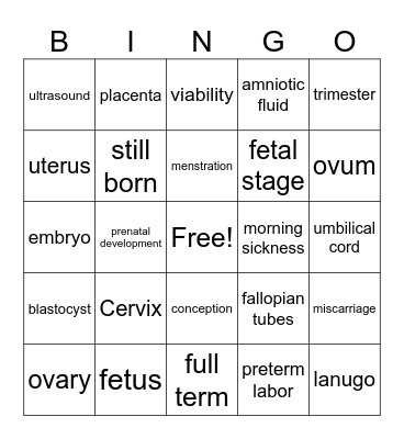 pregnancy bingo Card