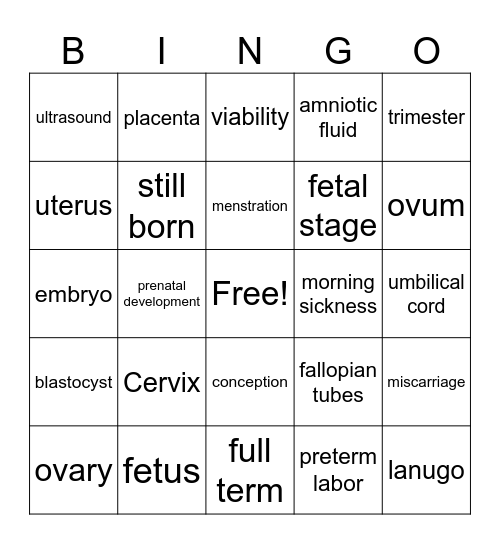 pregnancy bingo Card