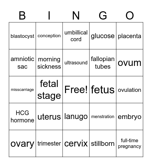Pregnancy Bingo Card
