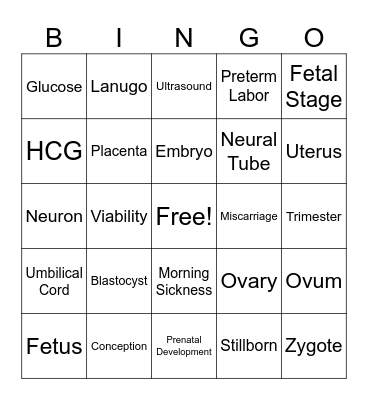 Vocabulary Bingo Card