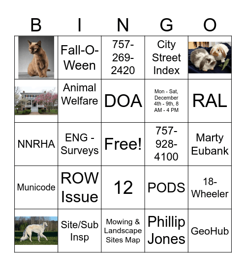 Bingo Trivia Bingo Card