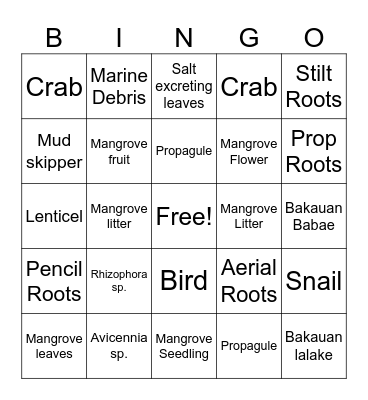 MANGROVE BINGO Card