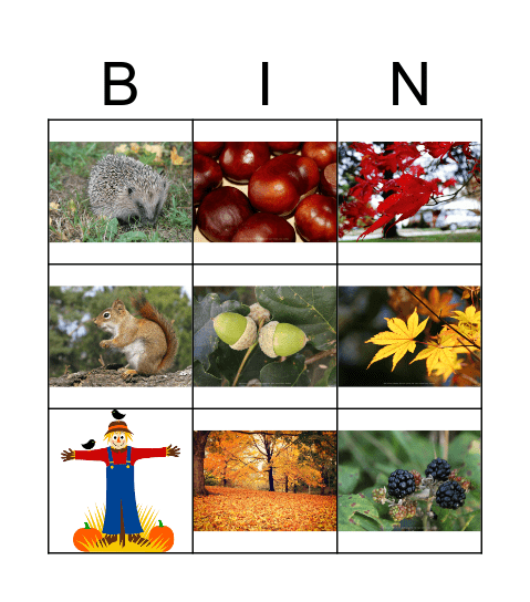 Autumn Words Bingo Card