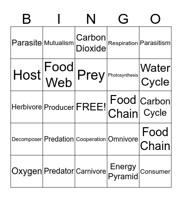 Interactions in Ecosystems Bingo Card