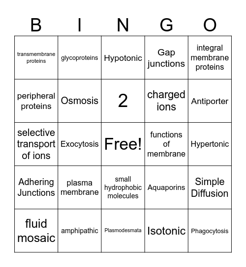 Chapter 5 Bingo Card