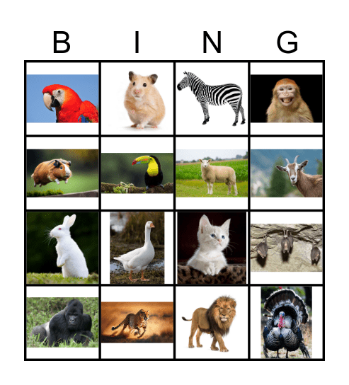 Animal Bingo Card