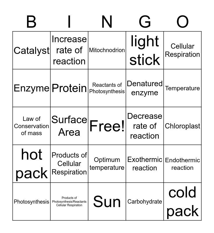 Review Unit 5 Bingo Card