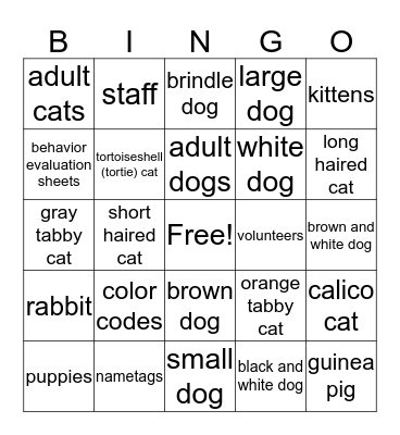 Shelter Bingo Card
