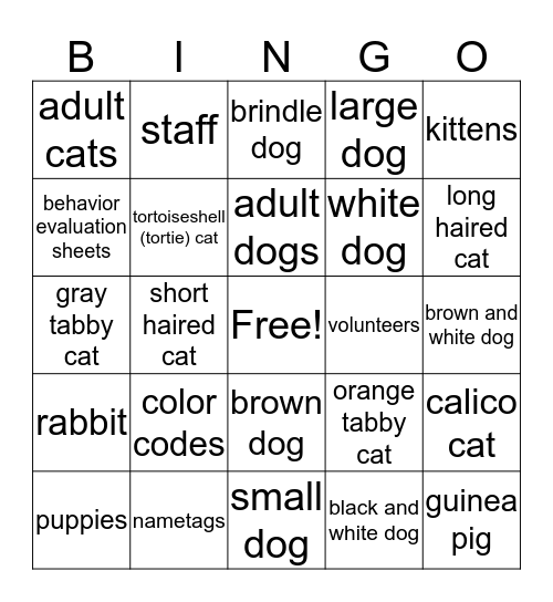 Shelter Bingo Card
