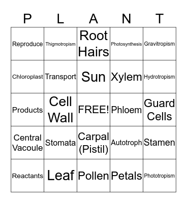 Plant Structure and Function Bingo Card
