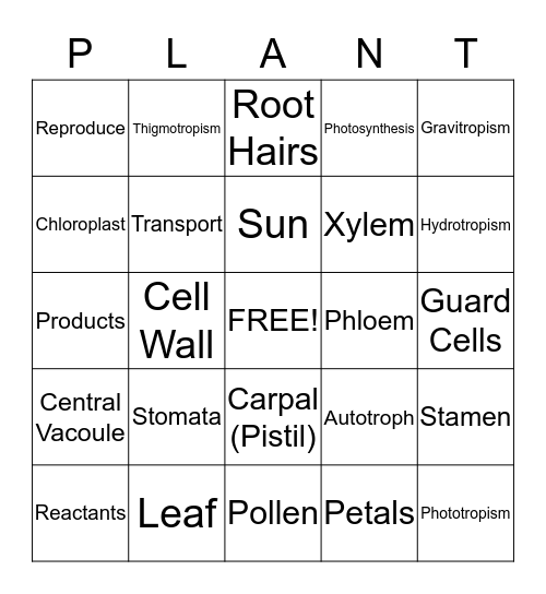 Plant Structure and Function Bingo Card