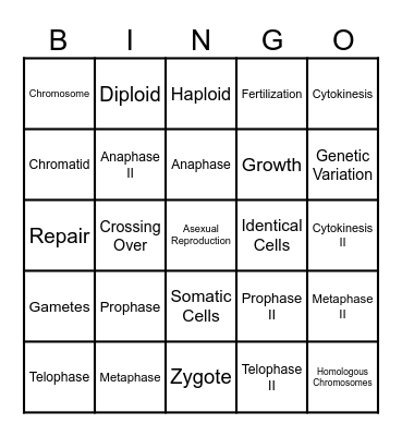 Meio-Bingo: Unraveling Genetic Diversity Bingo Card