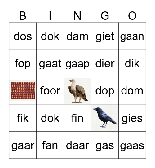 bundel 4: bingo Card