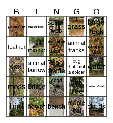 Berton Family Bingo Card