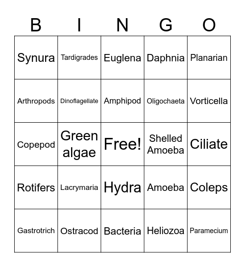 Dasani Water Bingo Card