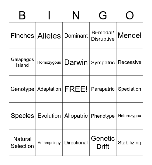 Speciation Bingo Card