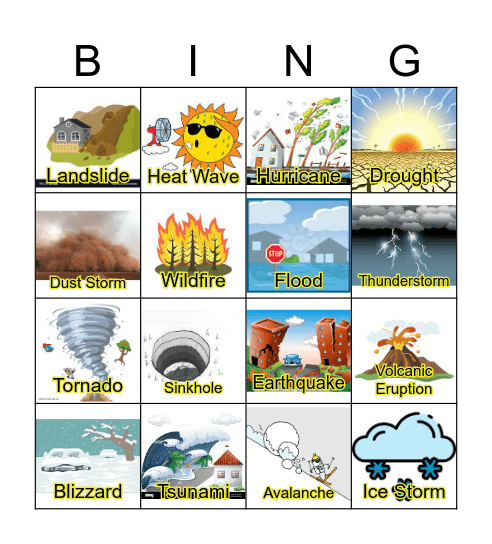 Natural Disasters Bingo Card