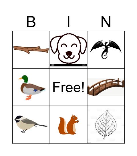 Cottonwood island Bingo Card