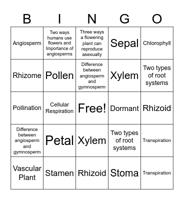 Exam 2 Bingo Review Bingo Card