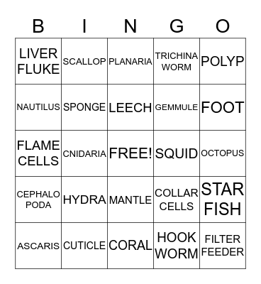INVERTEBRATA Bingo Card