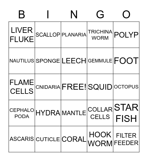 INVERTEBRATA Bingo Card