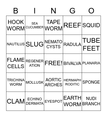 INVERTEBRATA Bingo Card