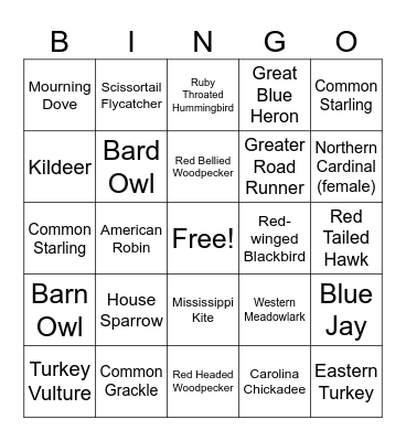 Bird Bingo!!! Bingo Card