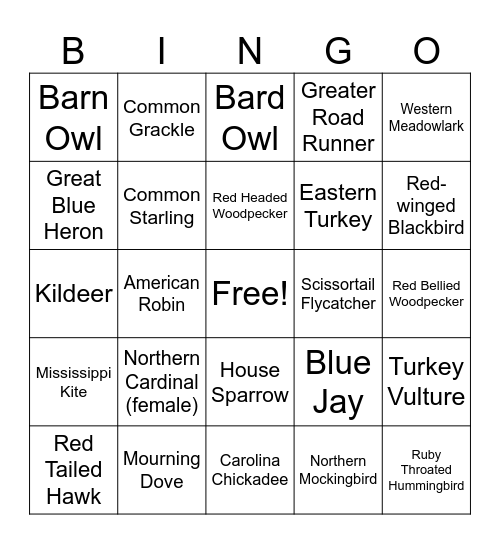 Bird Bingo!!! Bingo Card