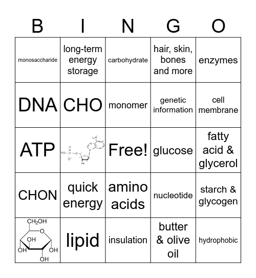 Macromolecules Bingo Card