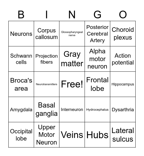 Neuro Review! Bingo Card