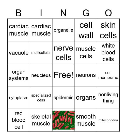 CELLS AND ORGANISMS Bingo Card