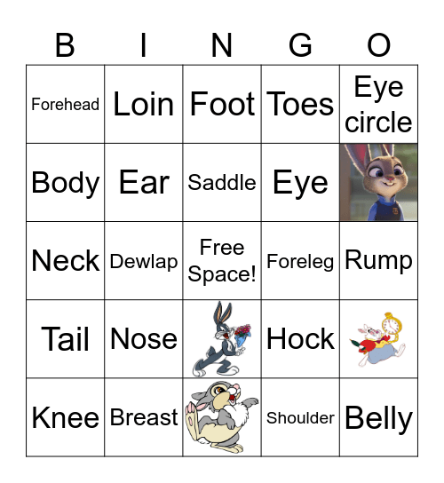 Rabbit Parts Bingo Card