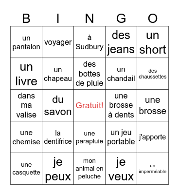 ma valise vocabulary Bingo Card